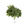 Aralias  Flor Natural  Ramo De 50 Tallos  Verde  30cm De Alto