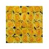 Rosas Variadas  Flor Natural  Ramo De 12 Tallos  60cm De Alto  Amarillas Brighton