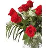 Ramo De Rosas Rojas Naturales  Flor Natural  Ramo De Rosas Rojas Frescas  60cm De Alto  Ramo De 12 Tallos (estilo Tradicional)jardin202