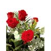 Ramo De Rosas Rojas Naturales  Flor Natural  Ramo De Rosas Rojas Frescas  60cm De Alto  Ramo De 12 Tallos (estilo Tradicional)jardin202