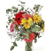 Ramo Bouquet Variado Flordum  Flores Naturales  Ramo De 12 Tallos