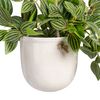 Planta Decorativa 33 X 33 X 24 Cm Blanco Verde Pvc