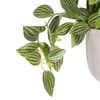 Planta Decorativa 33 X 33 X 24 Cm Blanco Verde Pvc