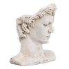 Escultura David 28 X 22 X 33 Cm Resina