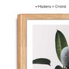 Pack 2 Cuadros Decorativos Con Marco De Madera Y Cristal 43x3x53cm Plantas