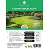 Semillas Césped Repoblador Planeta Huerto 1 Kg