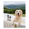 Pack Baño Lavanda Para Mascotas The Doog Life 250 Ml