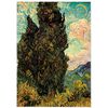 Póster Van Gogh 70x100cm Cipreses
