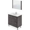 Mueble De Baño Con 2 Puertas, 2 Cajones Y Espejo. Color Gris Ceniza. Lavabo No Incluido.