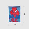 Bolso Cuerda Spiderman