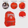 Mochila Escolar Grande 44 Cm Harvard