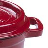 Olla De Hierro Fundido Cocotte Gourmet Tools Redonda De 22 Cm Roja