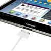 Cable Samsung Con Conector Para Tablets Samsung (ecc1dp0u)
