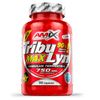 Amix Tribulyn 90% 90 Cápsulas