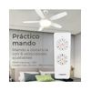 Ventilador De Techo Con Luz Noaton 12132wwb Maia Blanco/arce