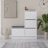 Mueble Para Zapatos 4 Puertas L105 Cm - Dude