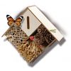 Kit Hotel De Insectos Ses Creative