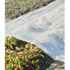 Cobertor Para Plantas Transparente 4x6 M 100µ Nature