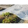 Cobertor Para Plantas Transparente 3x4 M 200µ Nature