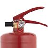 Extintor De Incendios De Polvo Seco Fex-15030 3 Kg Smartwares