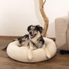 Cama Para Perros De Espuma Viscoelástica Jaxx Beige 50x20 Cm Beeztees