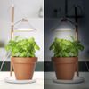 Lámpara De Cultivo Para Jardín Led 9w Blanco Smartwares
