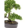 Emerald Mini Bonsai Artificial Ficus Verde 32 Cm 420002