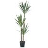 Planta De Yuca Artificial En Maceta 150 Cm Emerald