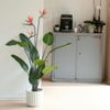 Planta Artificial Strelitzia Con Maceta Y Flores 120 Cm Emerald