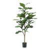 Emerald Ficus Lyrata 120 Cm