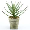 Aloe Artificial Con Maceta 18 Cm Emerald