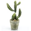 Set De Cactus - Aloe Vera Artificiales En Maceta 3 Piezas Emerald