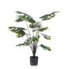 Emerald Planta Monstera En Maceta 98 Cm