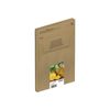 Cartucho Epson 604 Multipack 4 Easy Mail (piña)