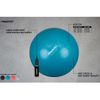 Pelota De Fitnes/gimnasio Y Bomba Plateada 65 Cm Diámetro Avento