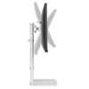 Soporte De Pantalla Escritorio 10"-30" Ajustable 6 Cm Blanco Newstar