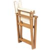 Silla De Director Plegable Madera Maciza De Teca Vidaxl