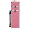 Maletín Trolley De Maquillaje De Aluminio Rosa Vidaxl