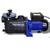 Bomba De Piscina Eléctrica 500 W Azul Vidaxl