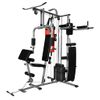 Máquina De Gimnasio Para Casa Multiusos Con Saco De Boxeo 65 Kg Vidaxl