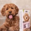 Set De Champú Y Spray Para Perros Labradoodles 2x250 Ml Greenfields