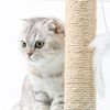 Rascador Para Gatos De Sisal Pequeño Azul 25x25x35cm-nobleza