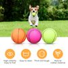 Juguete Para Perro Pelota Juguete 6 Unidads Ø7.2cm-nobleza