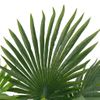 Planta Artificial Palmera Con Macetero 70 Cm Verde Vidaxl