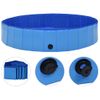 Piscina Para Perros Plegable Pvc Azul 160x30 Cm Vidaxl