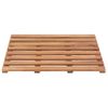 Alfombrillas De Baño 2 Uds Madera Maciza De Acacia 56x37 Cm Vidaxl