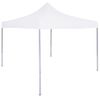 Carpa Plegable Profesional De Acero Blanca 2x2 M Vidaxl