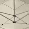 Carpa Plegable Profesional De Aluminio Color Crema 2x2 M Vidaxl