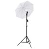 Kit De Estudio Fotográfico Con Set De Iluminación Y Softboxes Vidaxl