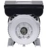 Motor Eléctrico Monofásico Aluminio 2,2kw/3hp 2 Polos 2800 Rpm Vidaxl